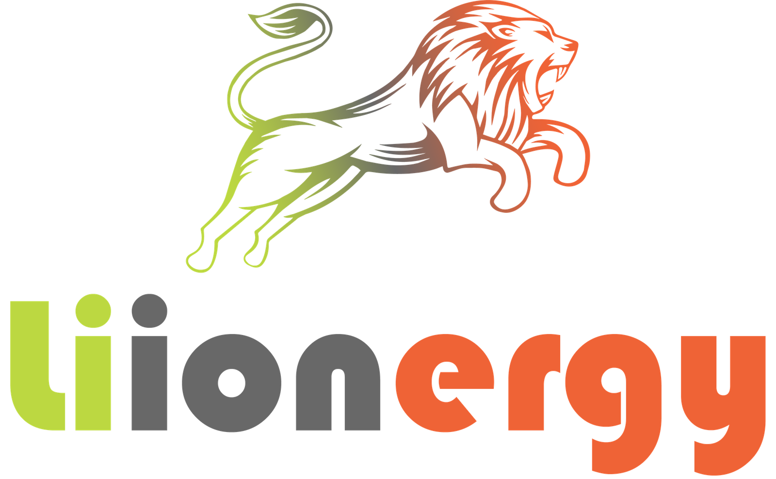 liionergy-final-font-logo-2